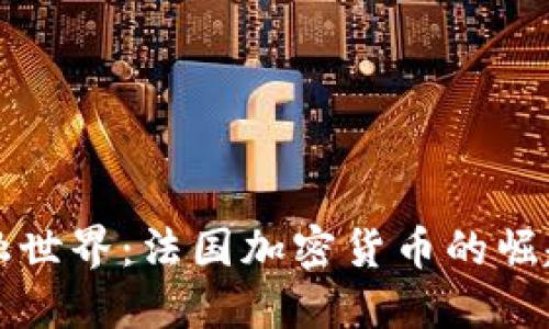 颠覆金融世界：法国加密货币的崛起与挑战