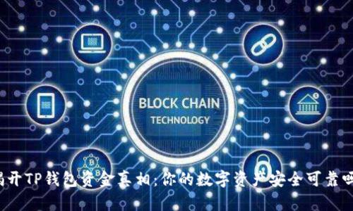 揭开TP钱包资金真相：你的数字资产安全可靠吗？