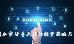 深入解析加密货币大佬的