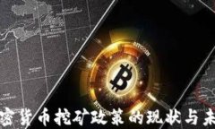 加密货币挖矿政策的现状与未来
