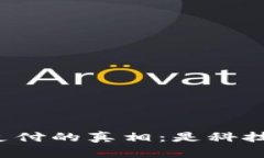 揭露TP钱包元支付的真相：