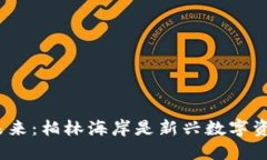 加密货币的未来：柏林海