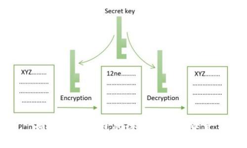 如何将TP钱包的语言转换为中文